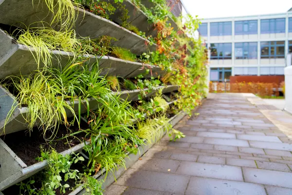 a plant wall with plants growing on it