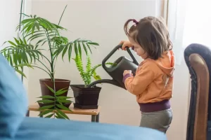 a child watering a plant