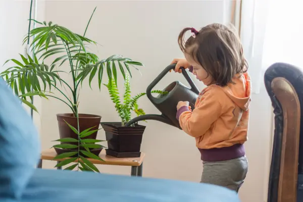 a child watering a plant