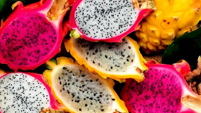 a close up of a fruit pitaya